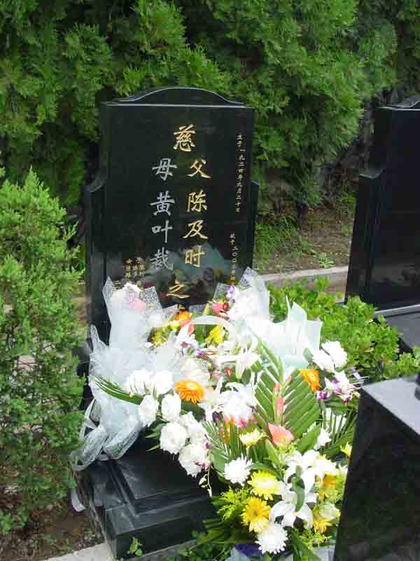 陈及时纪念馆照片