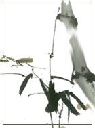 虞志伟照片
